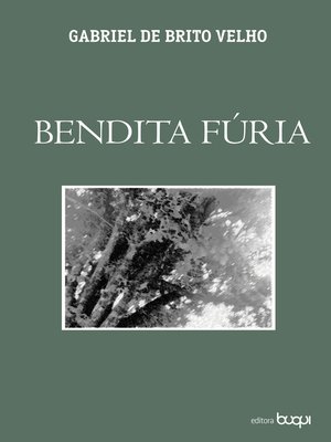 cover image of Bendita fúria
